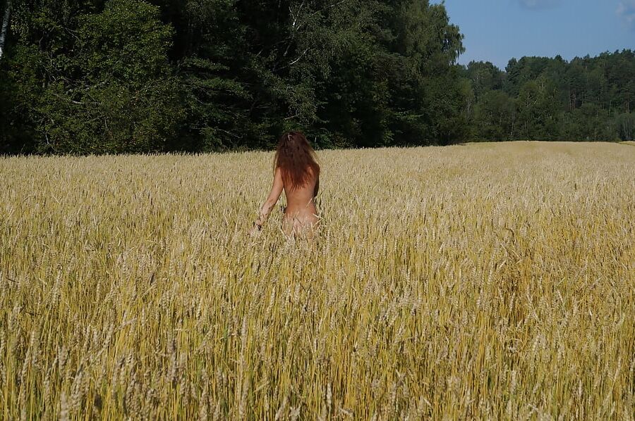 in golden field