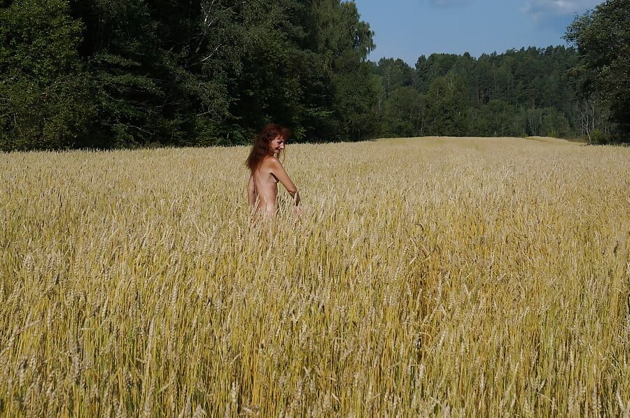 in golden field