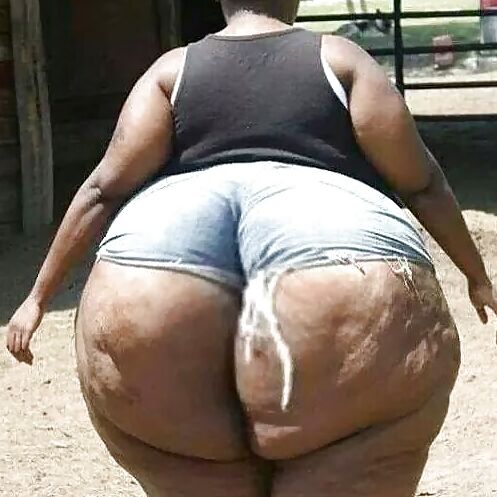 All Ass