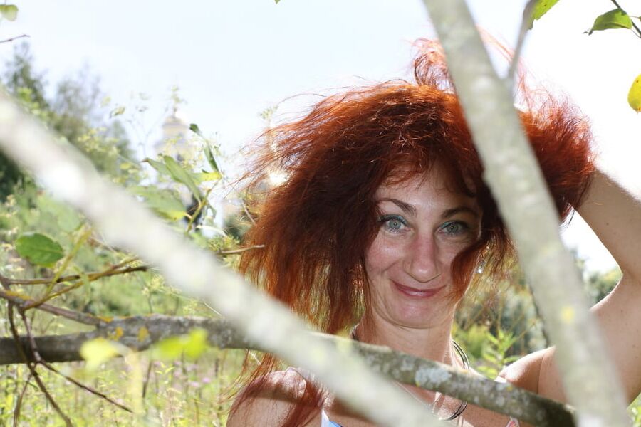 Among Branches