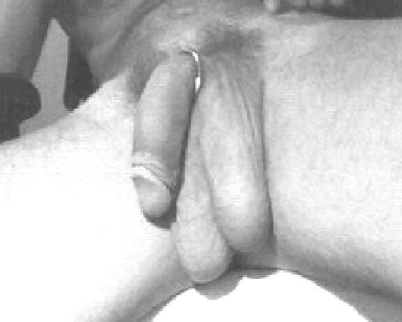 Cock shots