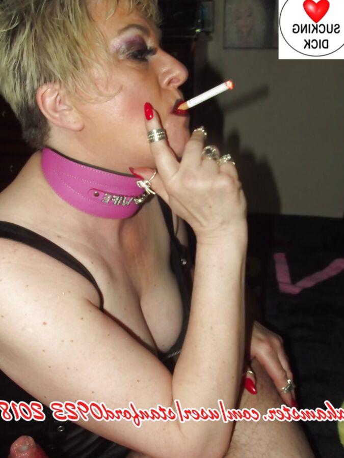 SLUT WIFE LOVES SUCKING DICK