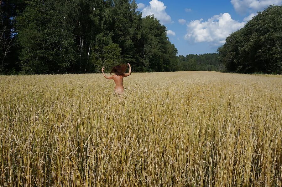in golden field