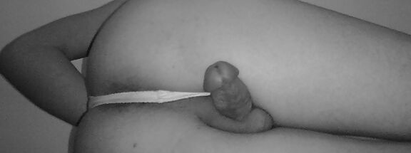 Tangas de mi prima