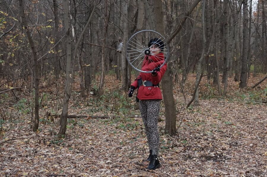 Wheel of Fortune