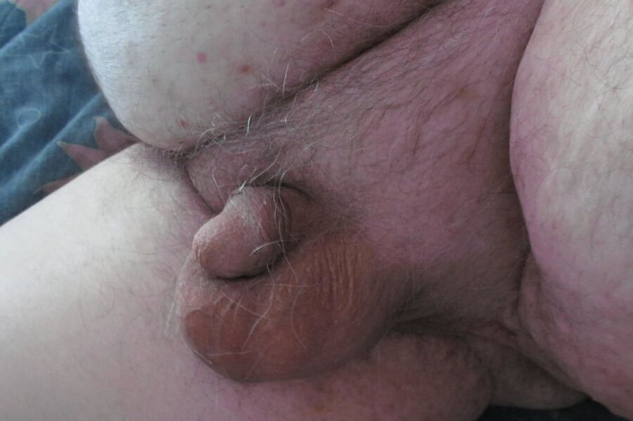 the evolution of a shrinking penis