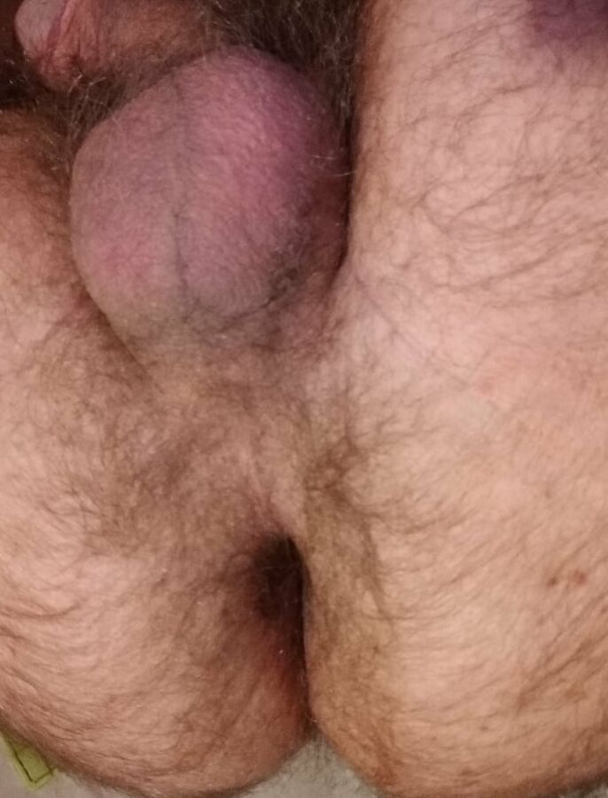 BITE EN REVEIL