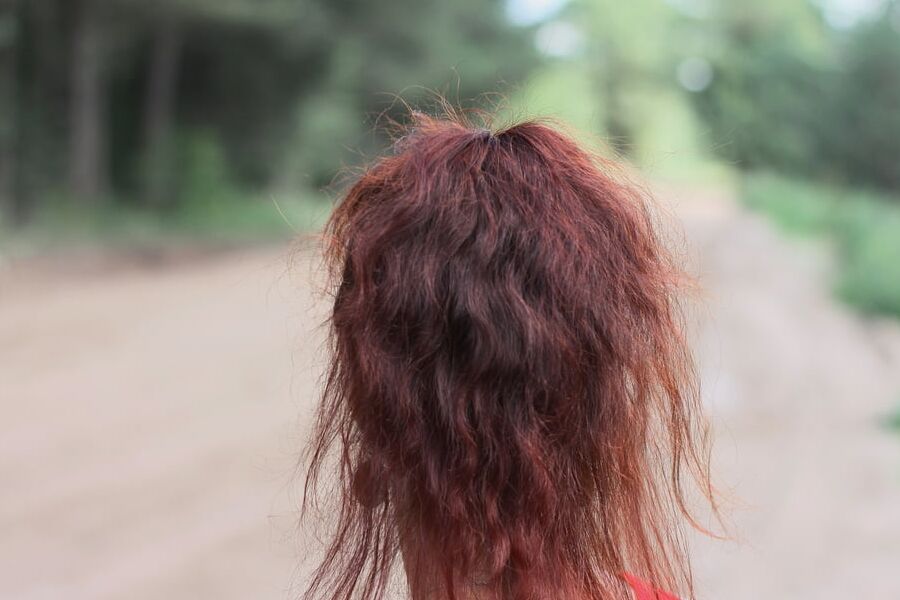 Red Berry - Red Top