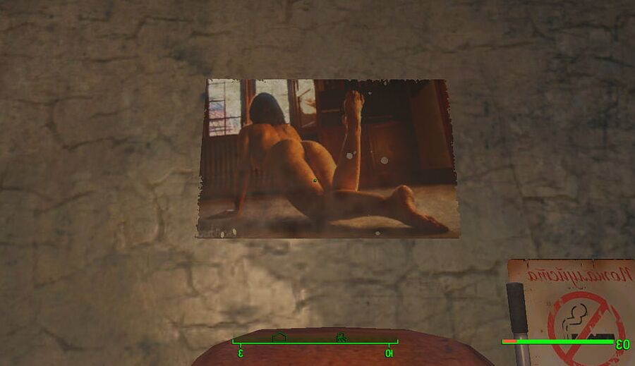 Erotic posters (Fallout )