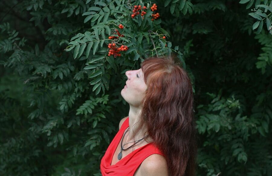 Red Berry - Red Top