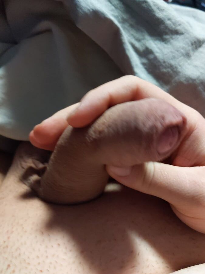 Cock Pictures hard like a rock