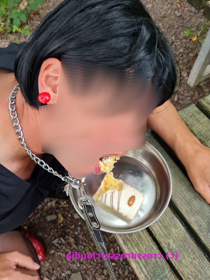Sissy und ihr Napf