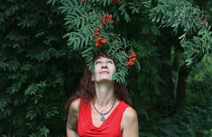 Red Berry - Red Top