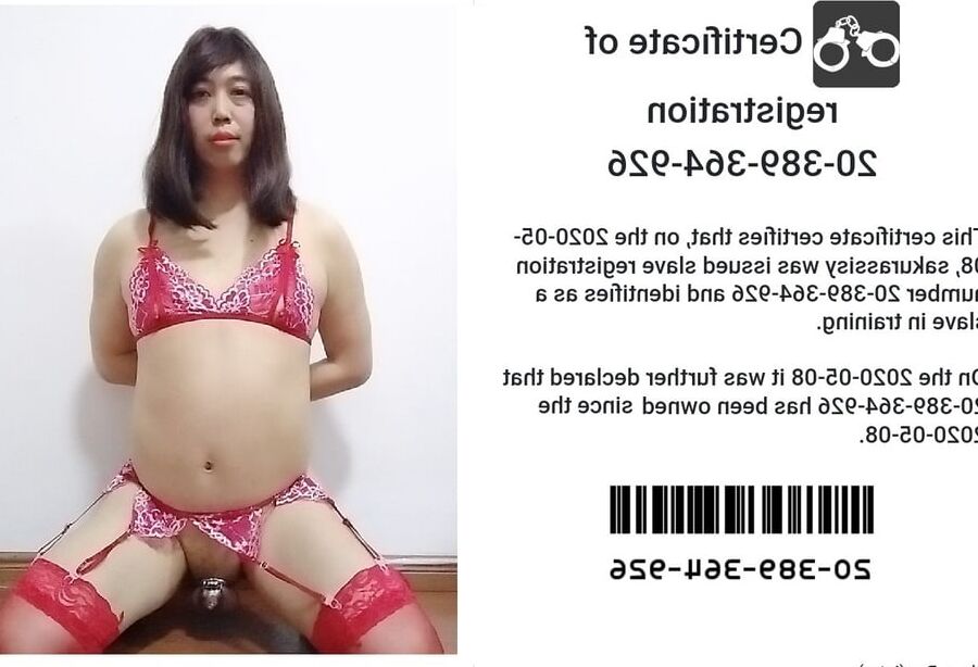 Cuffed, caged and collared sissy slave