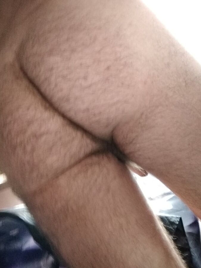 BITE EN REVEIL