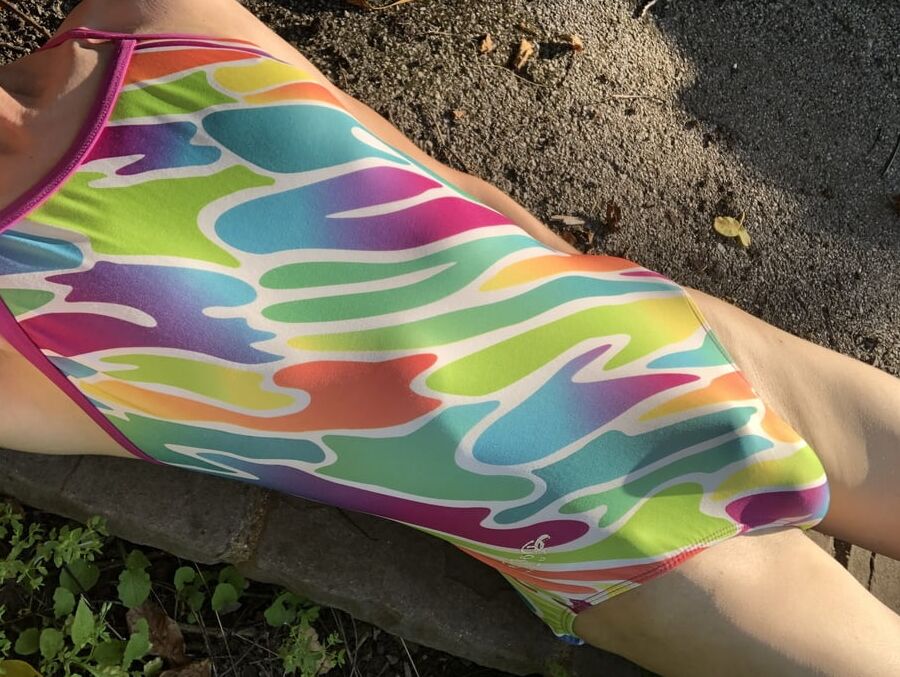 Dolphin Uglies Sunset