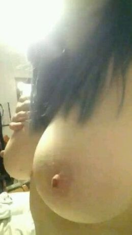 Gallery (tits and arse)