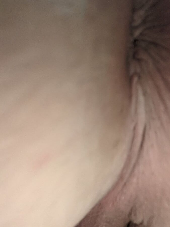 Ass Pictures  Pictures of beeing your fucktoy