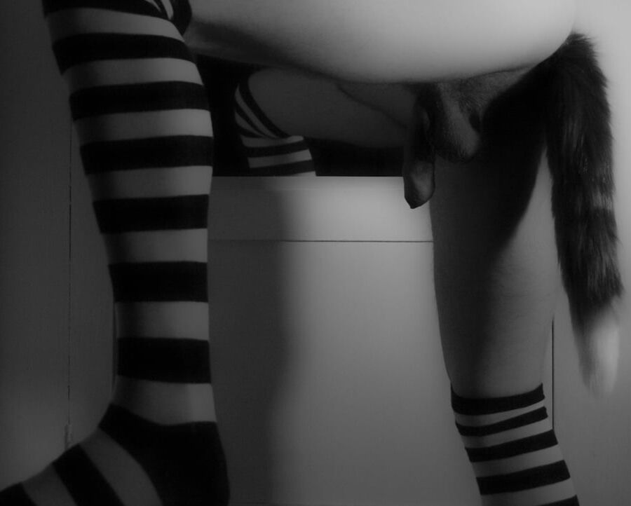 My body v