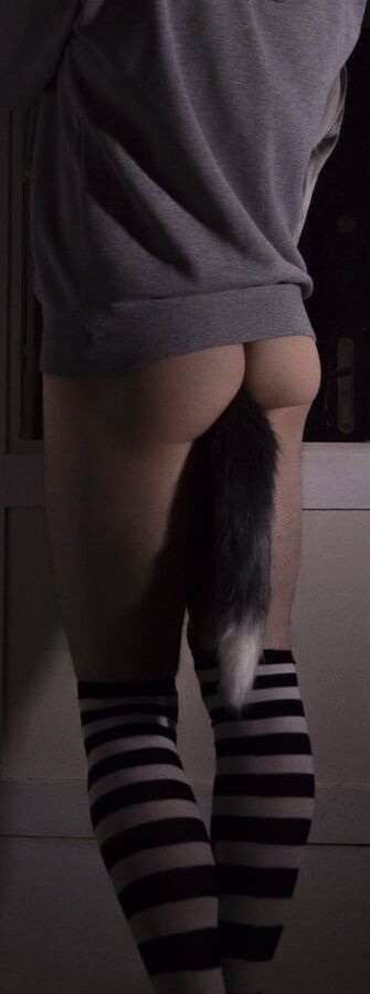 My body v
