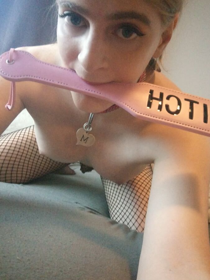 New Pictures pet