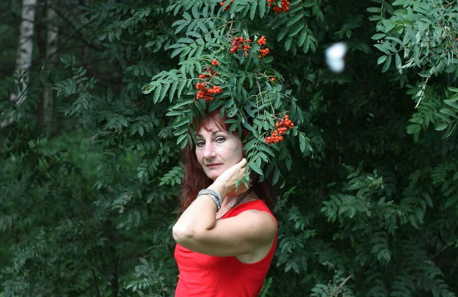 Red Berry - Red Top