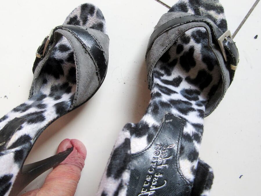 black and white tiger heels of my cougar