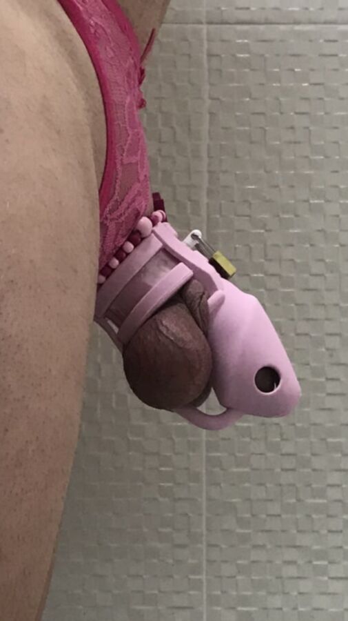 Cock cage and small cocks
