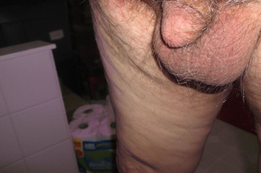 the evolution of a shrinking penis