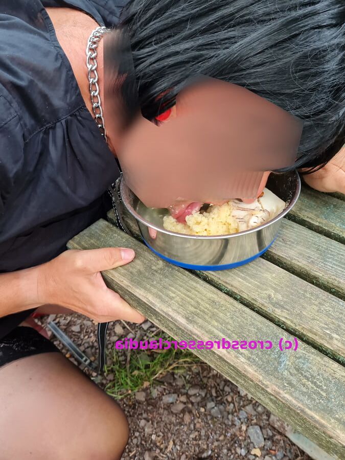 Sissy und ihr Napf