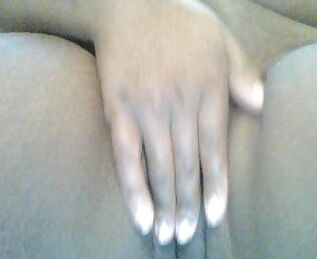 the evolution of a shrinking penis