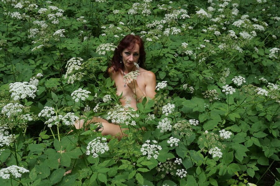In White Flowers