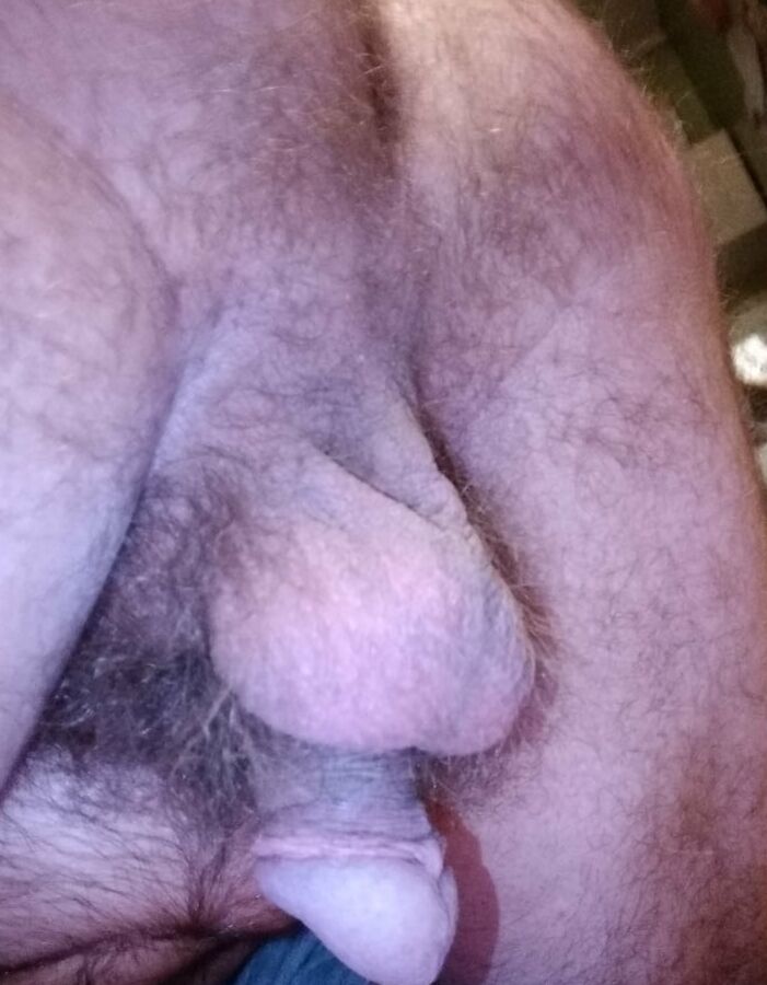BITE EN REVEIL