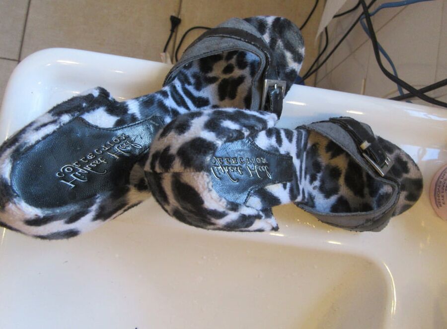 black and white tiger heels of my cougar