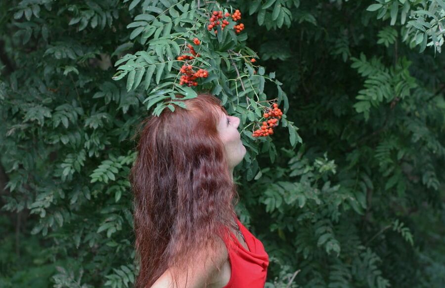 Red Berry - Red Top