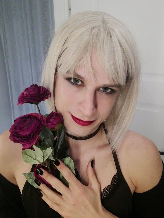 Bright Like a Wild Rose in the Snow