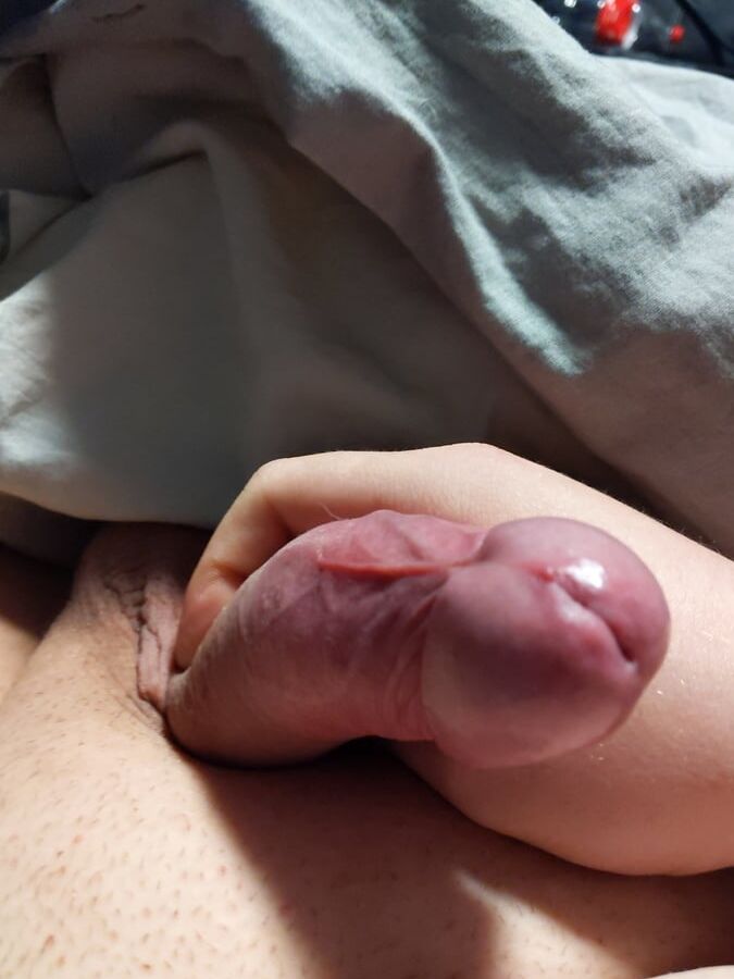 Cock Pictures hard like a rock