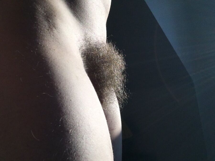 Hairy Pussy - Meine behaarte Fotze