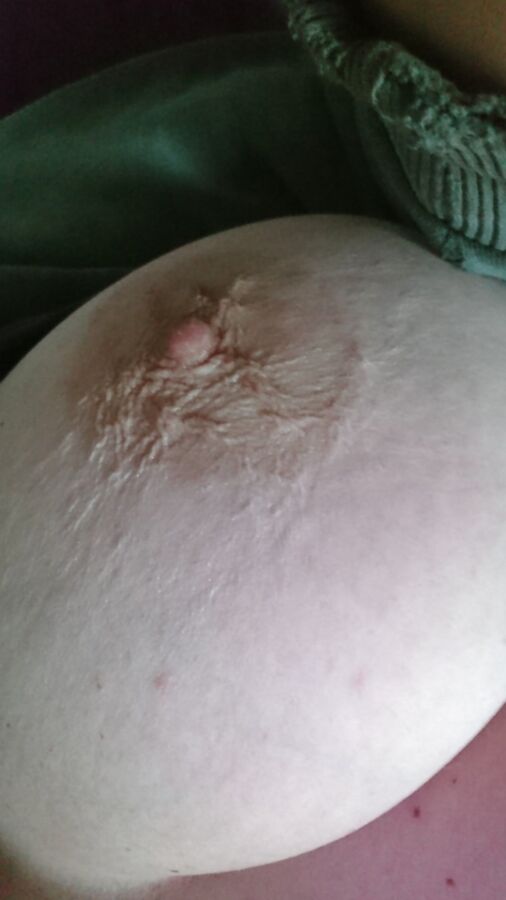 Neues von der pussy und den titties