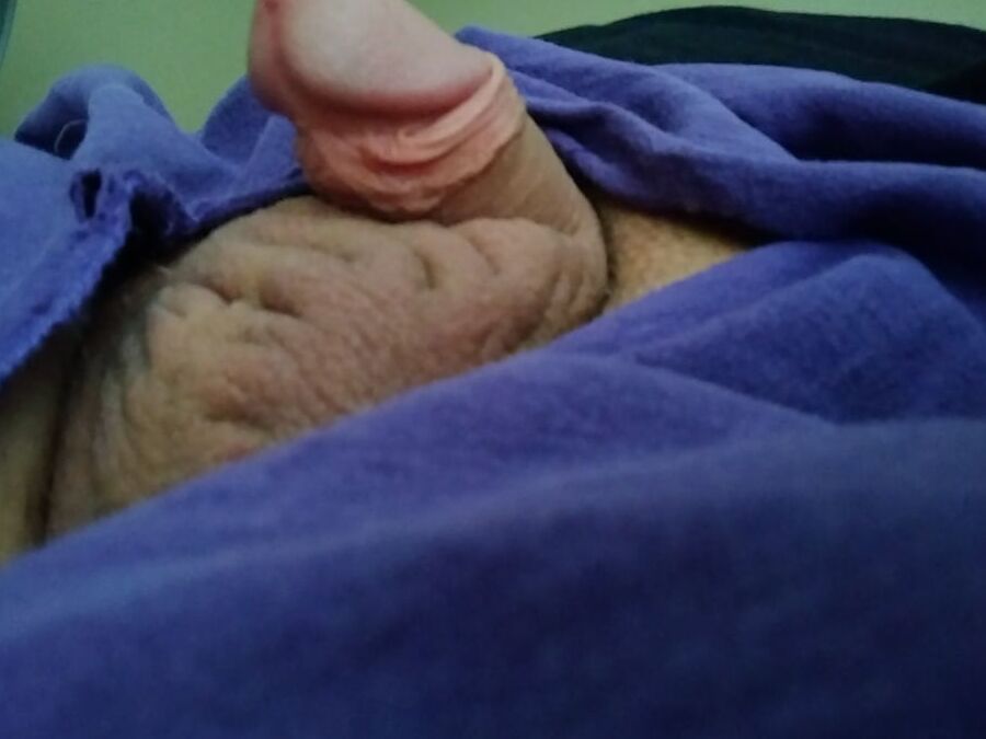 newer pics of my penis or balls