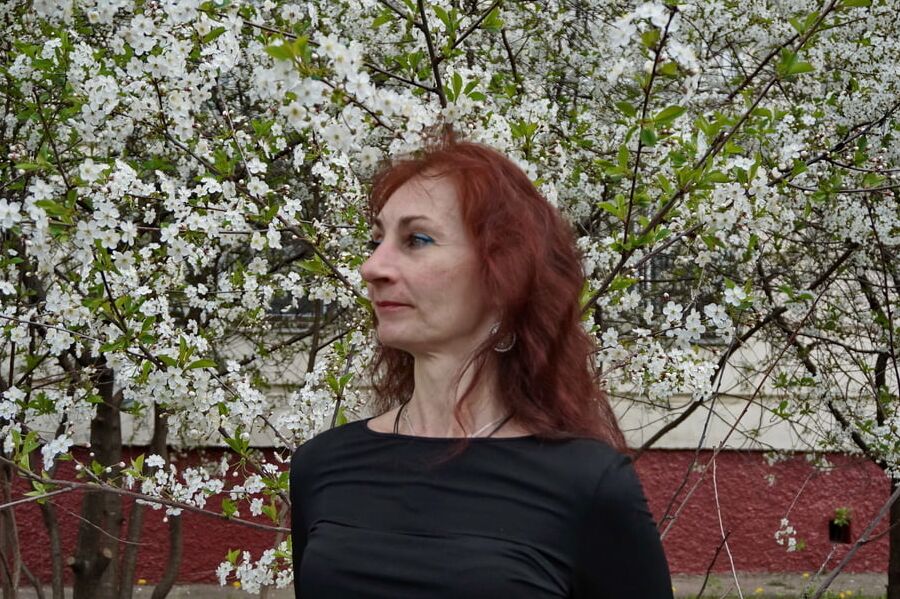 In white cherry-flowers
