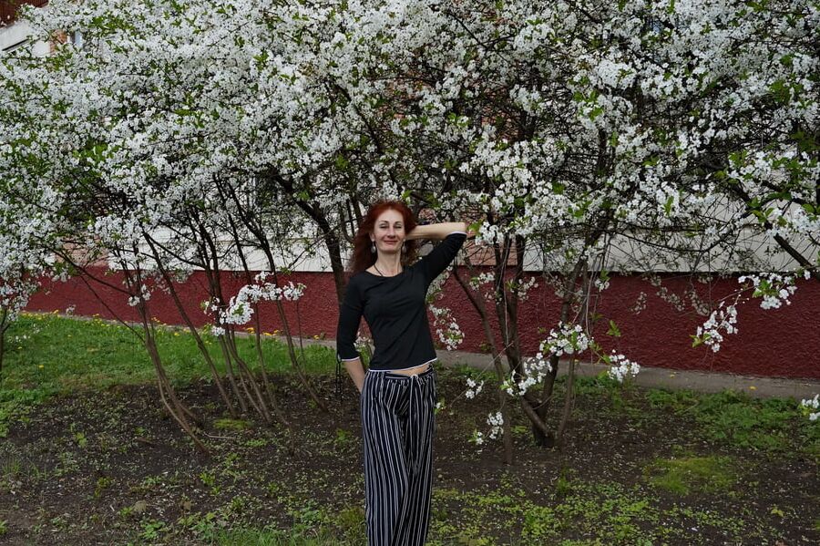 In white cherry-flowers