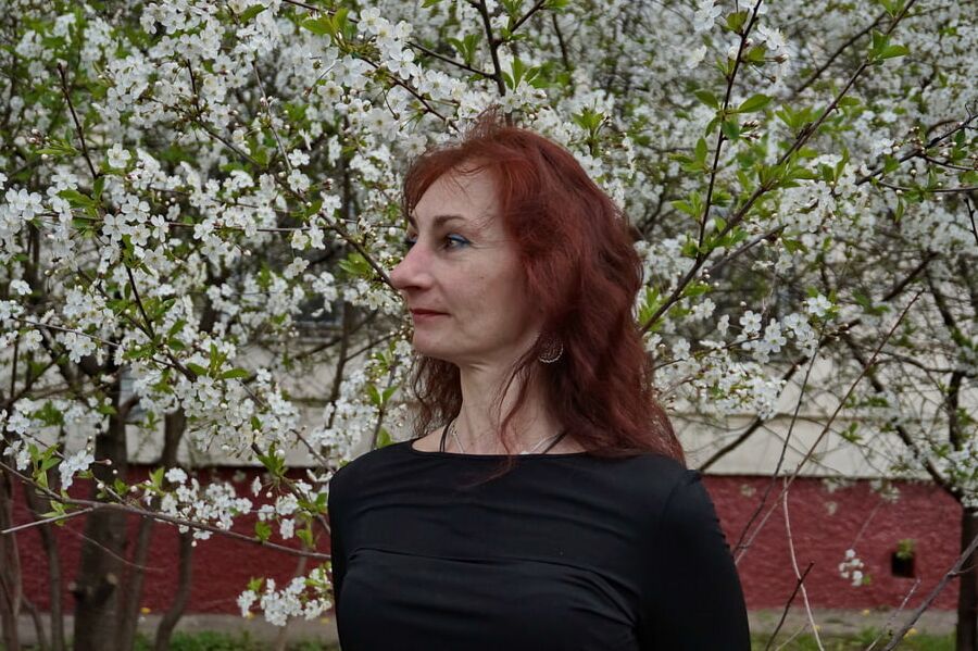 In white cherry-flowers