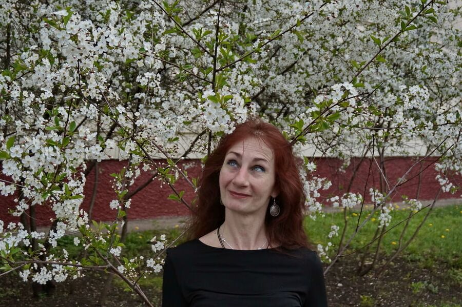 In white cherry-flowers