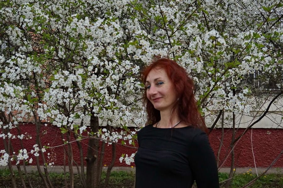 In white cherry-flowers
