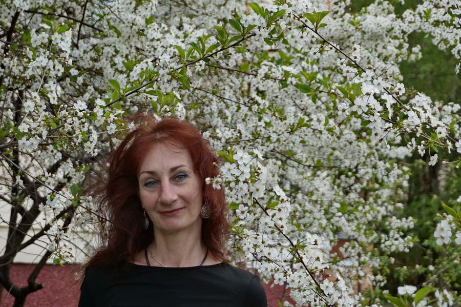 In white cherry-flowers