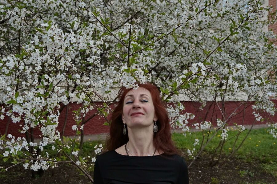 In white cherry-flowers