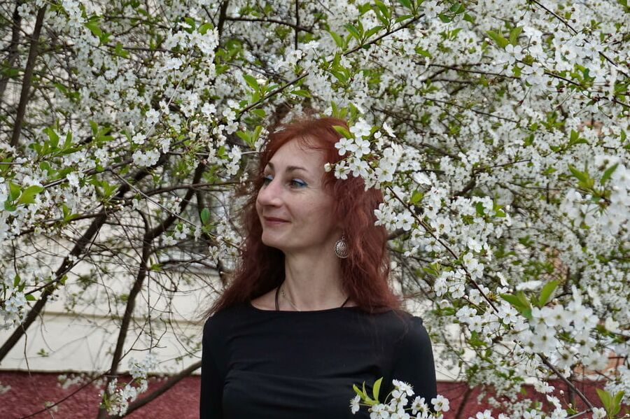 In white cherry-flowers