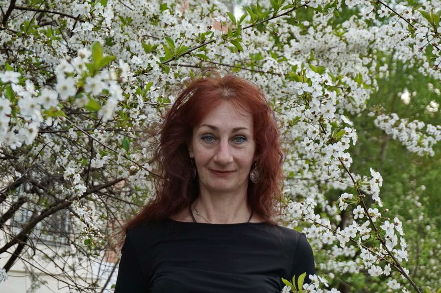 In white cherry-flowers