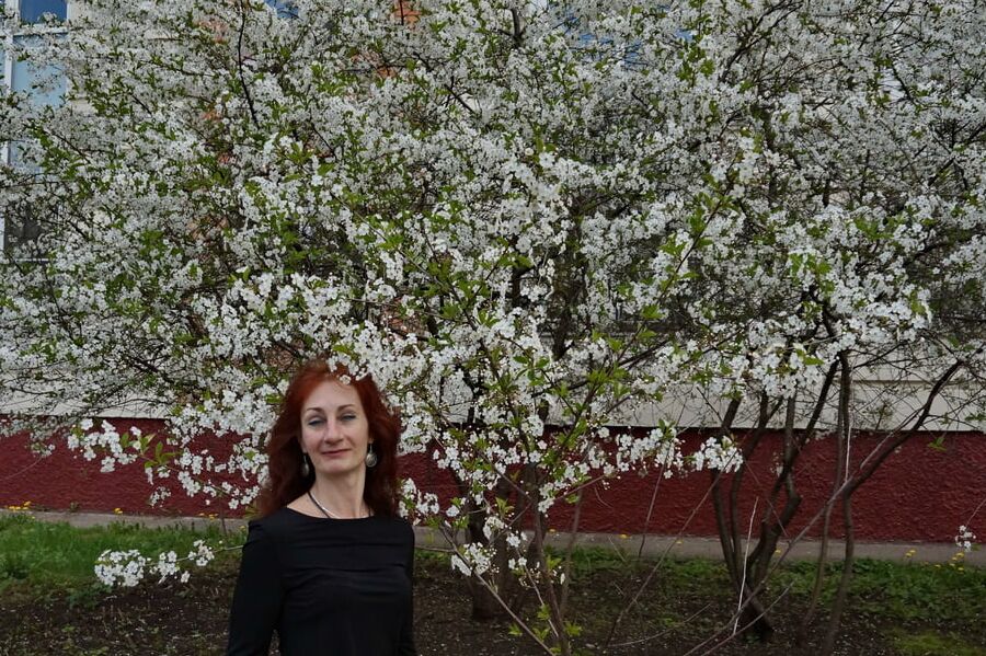 In white cherry-flowers
